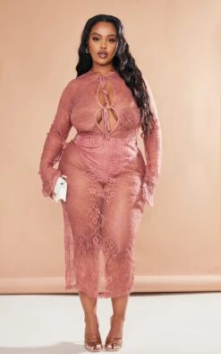 Plus Rose Lace Cut Out Midi Dress -Women Clothing Shop c9d8297e3eddac4e860e7fb5ecab4c5195a98500 cnc7297 1